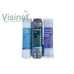 Bộ lọc thô 10 inch Fluxtek